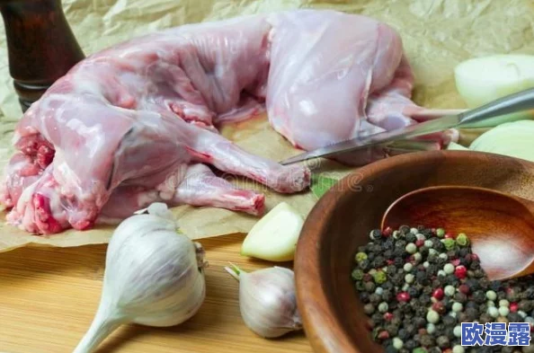 暗喻幻想中的美食探索：炖制美味兔肉的详细步骤