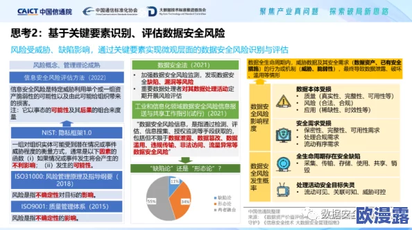 yw.193.coc：深入分析该文件的来源、用途及其在网络安全中的潜在影响与风险评估