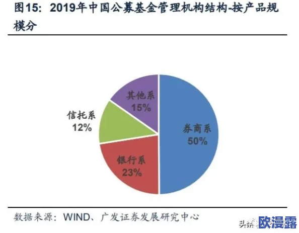 深入剖析如鸢密探：多维度策略选择精髓与实战案例深度解析解读