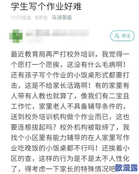 幼儿张婉莹作业曝八卦：被指抄袭同学答案，家长疑似涉及舞弊门事件