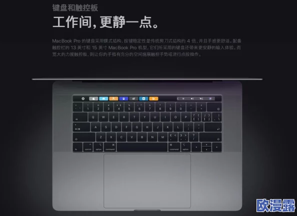 19岁MacBook Pro中国用户使用体验分享：老款设备在现代应用中的表现与升级潜力分析