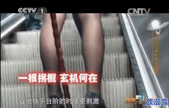 沟厕china偷拍学校女厕wc引发社会关注，校园安全与隐私保护亟待加强的讨论与思考