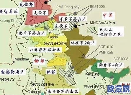 缅北黑网：揭示缅甸北部地区非法网络交易的复杂生态及其对当地社会和经济的深远影响