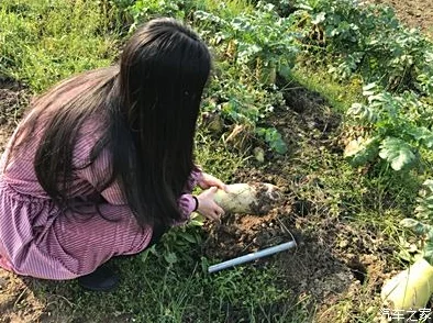 光腿拔萝卜光腿拔萝卜：网友热议这个创意地点，惊讶于其独特趣味和互动性！