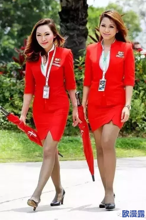 法国空乘2019法版英文名字：解析该版本中法国航空公司空乘人员的官方英文名称及其背后的意义与影响