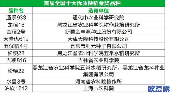 国精产品一码一码三mba：推动产业升级，助力经济高质量发展新进展