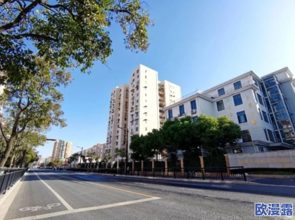 “探索城市天际线：哪个游戏地图拥有最多的平坦地形区域”