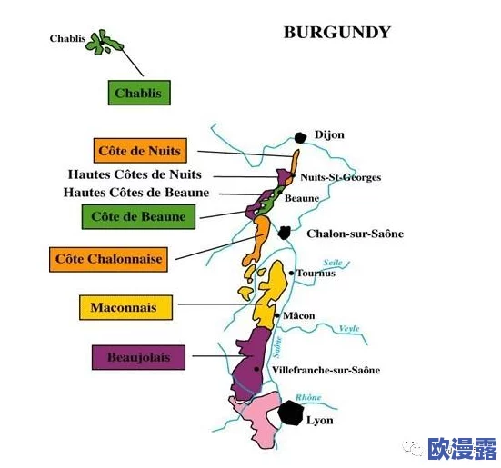 一级产区和二级产区区别是什么?震撼发现:产区分级竟对品质有如此巨大影响! 一级产区和二级产区区别是什么?震撼发现:产区分级竟对品质有如此巨大影响!