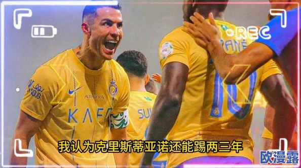 2024热门耐玩踢足球手游大全：推荐几款好玩的踢足球游戏下载地址