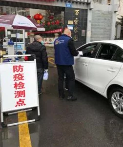 《保卫萝卜4》万圣奇妙夜攻略：第17关详细通关技巧与策略解析