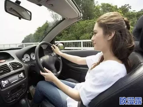 男女车文：性别视角下的汽车文化与消费行为研究