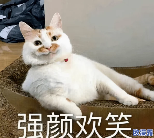 柚子猫雷电将军被爆炒，网友惊呼：竟然还有这种操作，背后真相让人跌破眼镜！