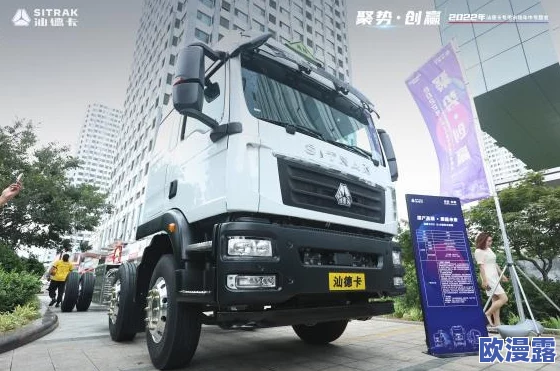 美国和欧洲Windows操作系统的市场发展与用户体验比较研究：从技术演进到文化适应性的多维度分析