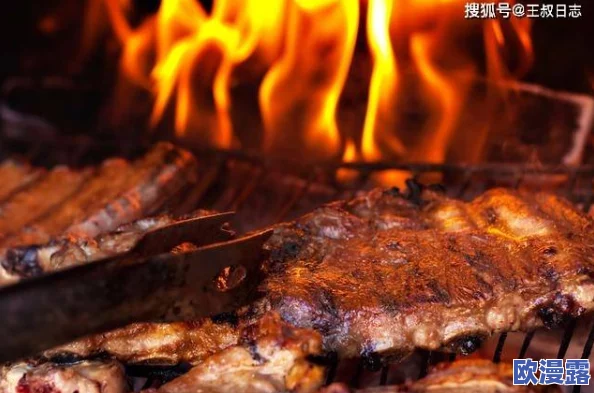肉质高干的高质量的古代:考古发现古代美食遗址,揭示神秘肉类烹饪技艺与饮食文化的奥秘! 肉质高干的高质量的古代:考古发现古代美食遗址,揭示神秘肉类烹饪技艺与饮食文化的奥秘!