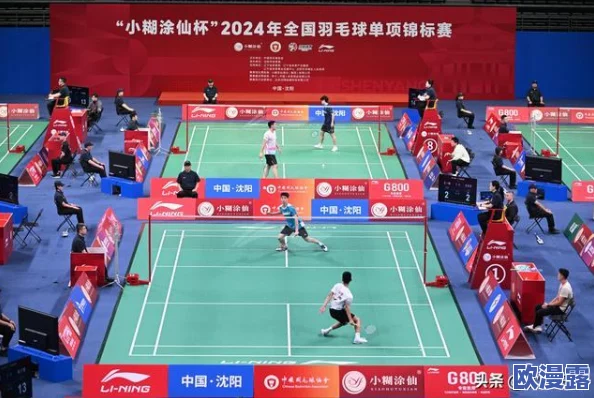 决战羽毛球：轻松加好友共赴赛场，畅享多人对战无限乐趣