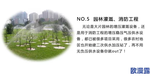 小草2024回家不迷路：如何在复杂的城市环境中找到归属感与方向感，助力每一个心灵的归途