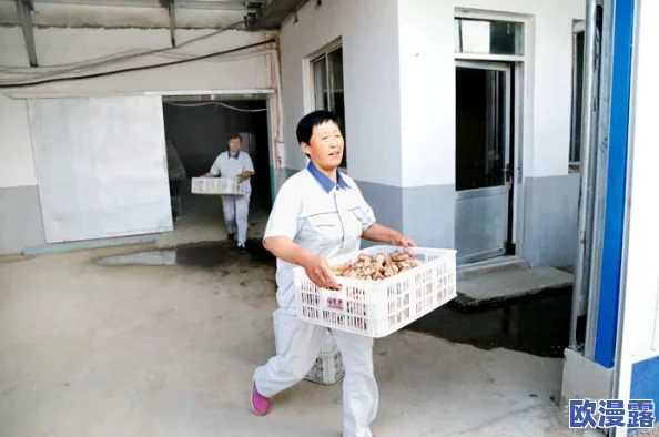 黑又硬的蘑菇头：科学家发现其神奇成分或可用于新型环保材料的研发，令人惊叹！