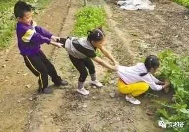 光腿拔萝卜光腿拔萝卜:惊现全球首个光腿拔萝卜大赛,选手挑战极限引发热议,万众瞩目! 光腿拔萝卜光腿拔萝卜:惊现全球首个光腿拔萝卜大赛,选手挑战极限引发热议,万众瞩目!
