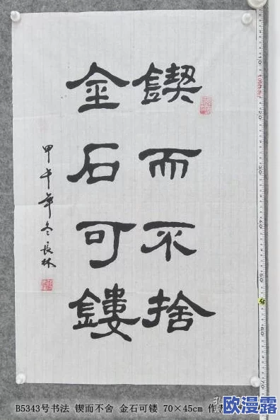 XXXx18—19HD：锲而不舍，金石为开