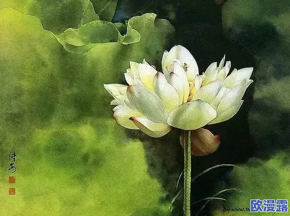 女人50岁半夜莲花还开吗？探讨女性在中年后的生活与心灵成长之路