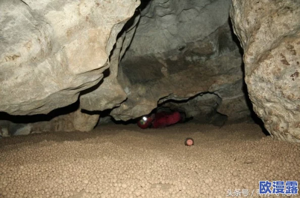 探寻艾尔登法环：哪个隐秘洞窟内藏匿着奇特的蜗牛生物？