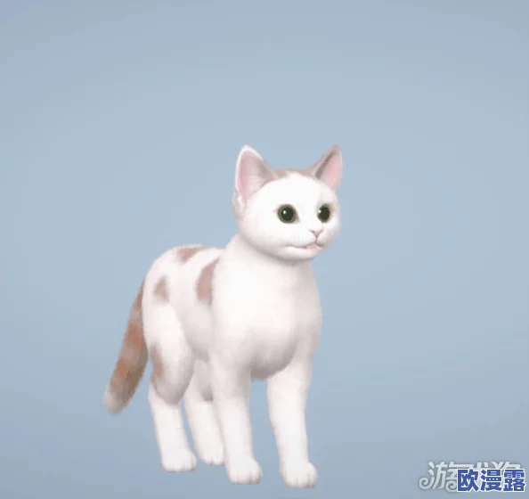 探寻热血江湖中,哪只猫咪的外观更加迷人可爱? 探寻热血江湖中,哪只猫咪的外观更加迷人可爱?