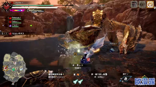 怪物猎人曙光：如何选择最佳的侦查地点以开启冒险之旅