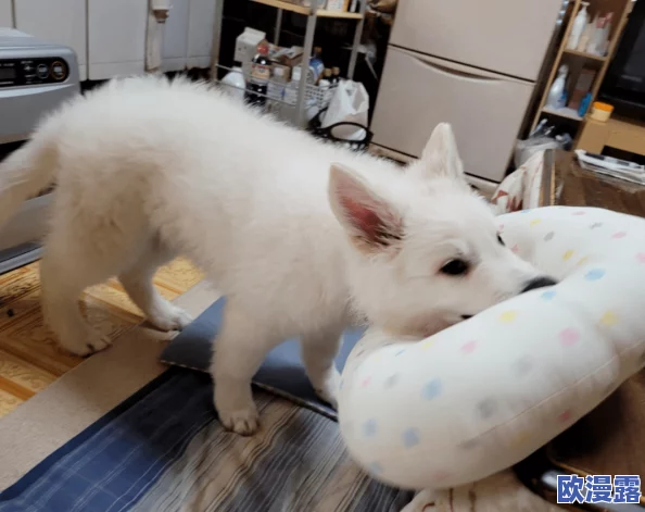 震惊!全黄hd播放片竟然引发了全国范围内的热议,网友们纷纷表示无法接受这一现象! 震惊!全黄hd播放片竟然引发了全国范围内的热议,网友们纷纷表示无法接受这一现象!