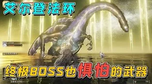 艾尔登法环中哪个boss武器更强，选择攻略解析
