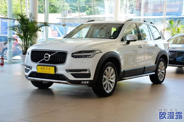 497799欧洲版的国产suv：网友热议其设计与性能，认为性价比高但品牌认知度仍需提升