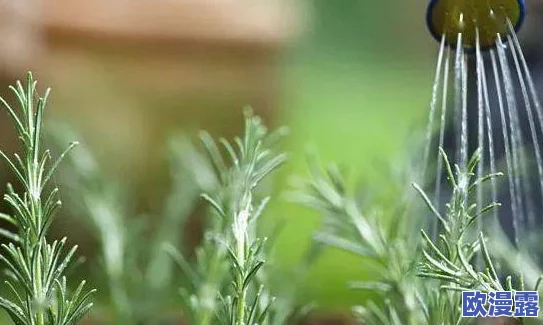 可不可以干湿你最简单?惊呆众人,科学家公布最新研究成果,彻底颠覆我们对干湿的理解! 可不可以干湿你最简单?惊呆众人,科学家公布最新研究成果,彻底颠覆我们对干湿的理解!