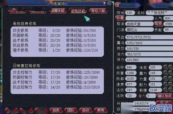 梦幻西游门派闯关全面解析：神木林装备选择与搭配攻略