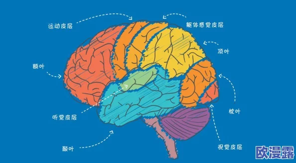 2024年必玩!创新与传统交织的123木头人游戏大盘点与热门玩法搜罗 2024年必玩!创新与传统交织的123木头人游戏大盘点与热门玩法搜罗