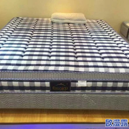 办公室可不可以干湿你的床垫？了解在工作环境中如何处理床垫的清洁与保养问题，确保健康和舒适