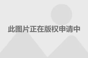 地铁逃生时，哪种插板防护效果更佳及选择建议