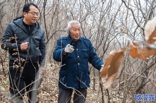 深度解析无名九使觉醒：特色内容与游戏亮点全面介绍