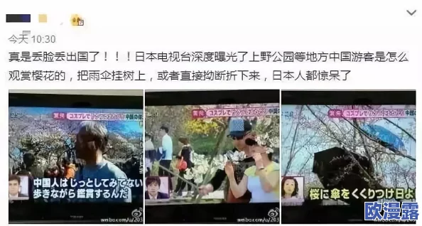 国产日韩精品一区在线观看播放，震惊！全网热议的神秘影片竟然曝光，引发网友疯狂讨论与追捧！