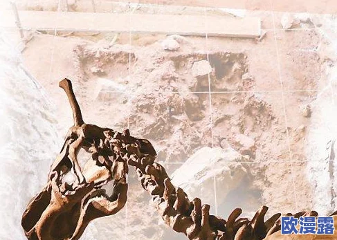 尘封的记忆密码:解读历史遗址中的考古发现与人类文明演变的深刻联系 尘封的记忆密码:解读历史遗址中的考古发现与人类文明演变的深刻联系