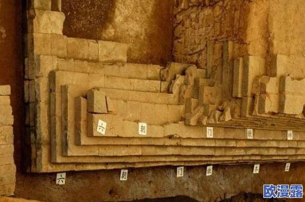 尘封的记忆密码:解读历史遗址中的考古发现与人类文明演变的深刻联系 尘封的记忆密码:解读历史遗址中的考古发现与人类文明演变的深刻联系