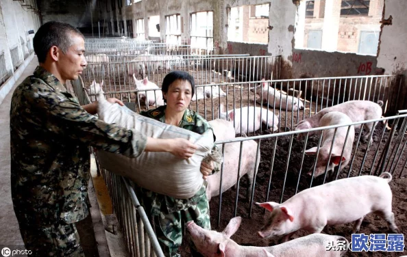 我把英语老师抄了一遍视频怎么办？她发现后竟然给我发来了鼓励的私信！