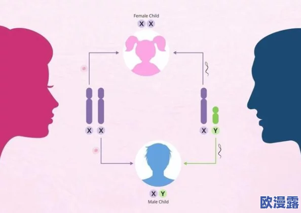稚嫩h女娃h粗大怀孕1v1：最新研究揭示青少年心理健康与早孕之间的复杂关系，引发社会广泛关注