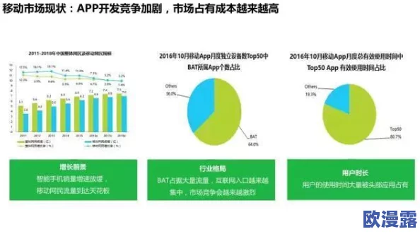 后入网站：分析其对用户体验和网络安全的影响及未来发展趋势研究