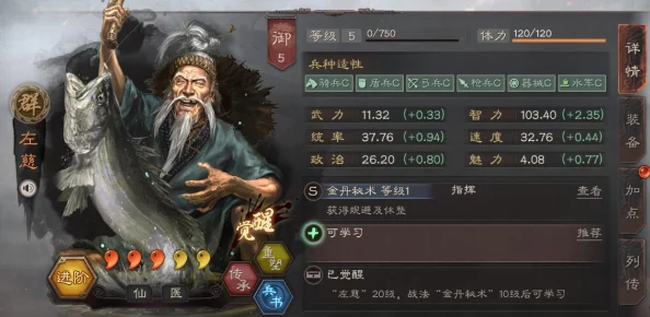 三国志战棋版：于吉高效阵容搭配策略与推荐指南