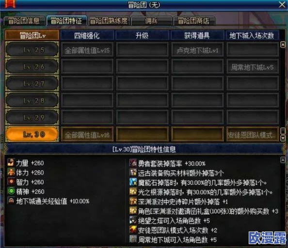 DNF圣骑士角色应优先强化哪些属性以提升战斗力