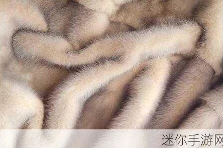 AAAA级毛皮的三个特点：优质光泽、极致柔软性与出色的保温性能解析