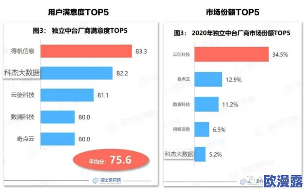 91新地址永久入口入口安全检测：惊天漏洞曝光，用户信息大泄露，安全风险成千上万！