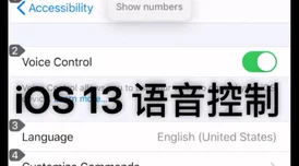 Drova Forsaken Kin：全面支持语言功能详细介绍与概览