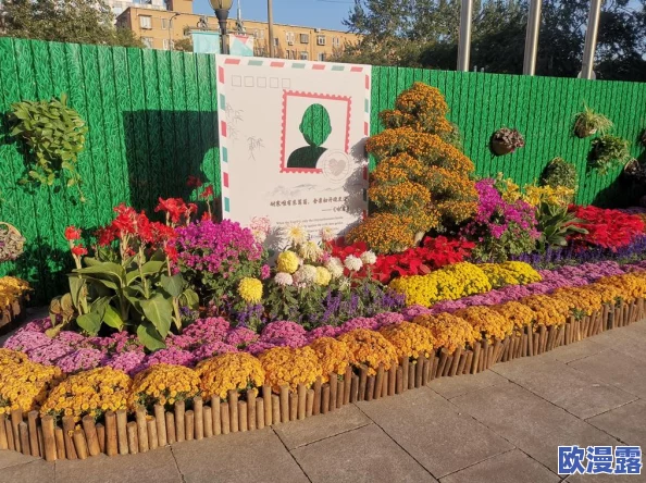 吃花核心我要：探讨如何在日常生活中融入食用花卉，提升饮食的美感与健康价值