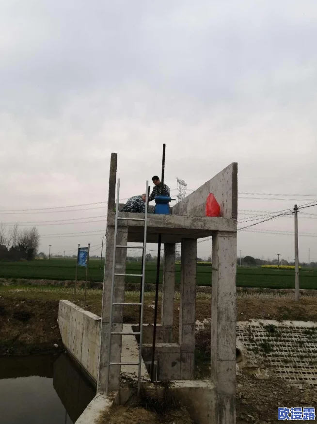 1免费版高风险：用户警惕潜在安全隐患，专家建议及时更新防护措施以保障数据安全
