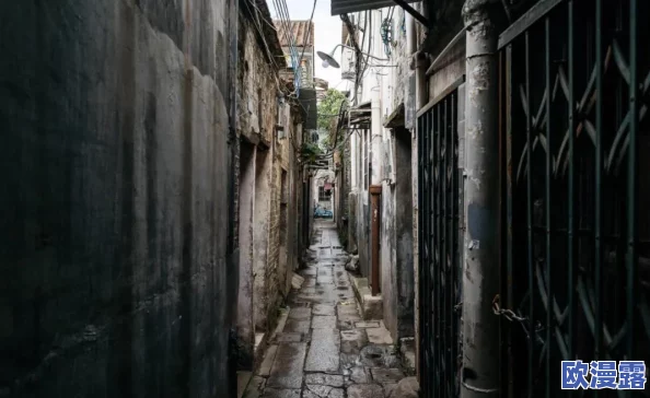 全家一起来黄梅徐海，突然发现古老传说中的神秘遗迹驚現，成为全网热议焦点！